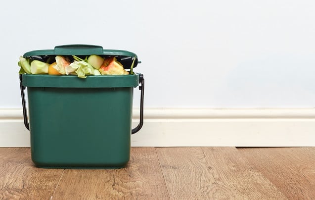 Food waste from domestic kitchen Responsible disposal of household food wastage in an environnmentally friendly way by recycling in compost bin at home